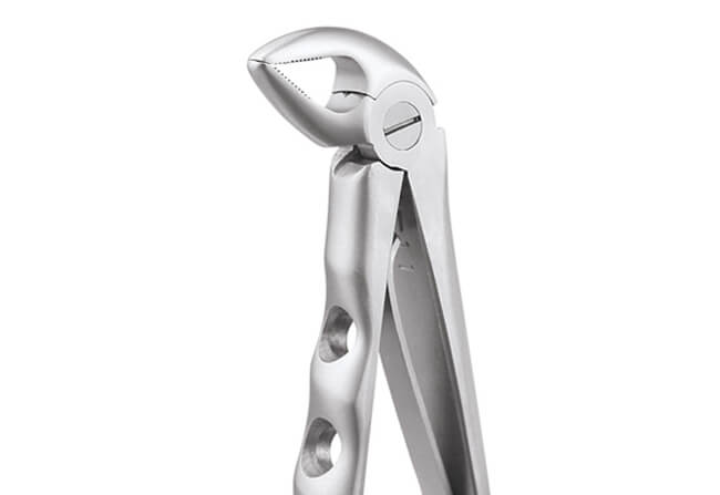 Buy Gdc Extraction Forceps Lower Roots Pedo Premium Fx3cp At Best Price Dentalstall Usa