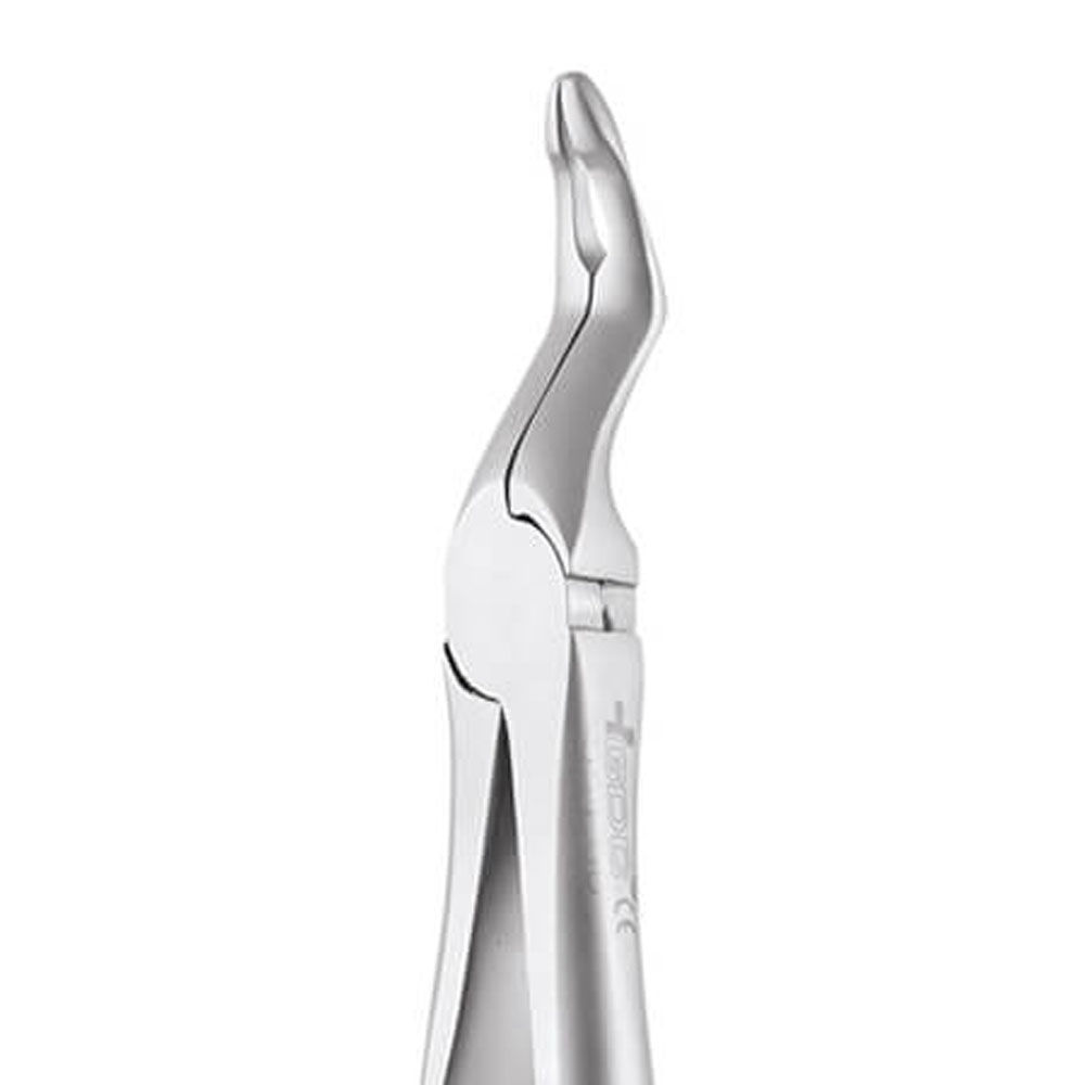Buy Gdc Extraction Forceps Upper Roots 95100 Secure Sfx95100 At Best Price Dentalstall Usa
