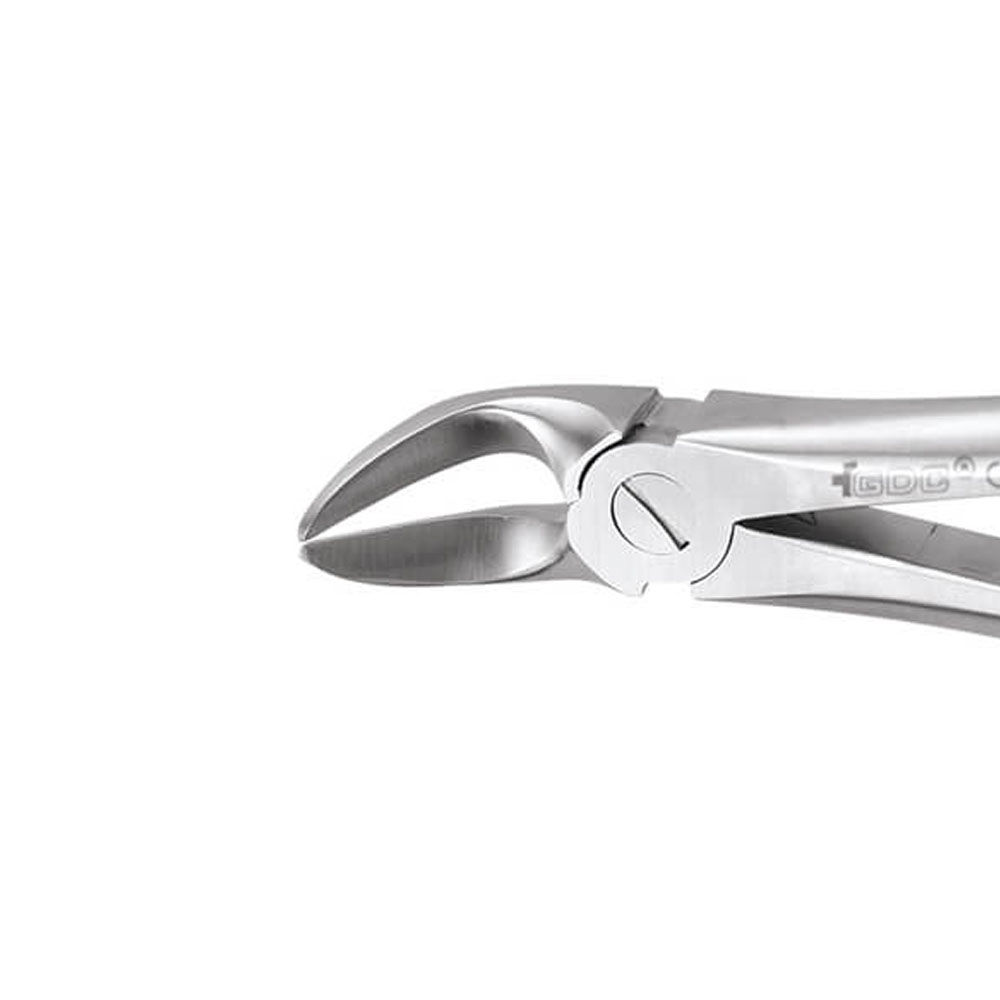 Buy Gdc Extraction Forceps Separating Lower Molars 56 Standard Fx56s At Best Price