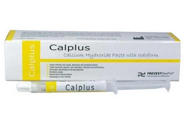commit Lubricate forgetful Prevest Denpro Calplus | Calcium hydroxide paste- Dentalstall
