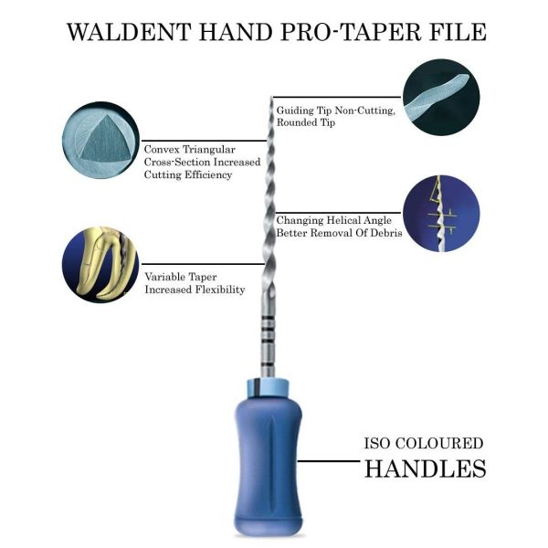 Waldent Pro-Taper Hand files - Dentalstall India