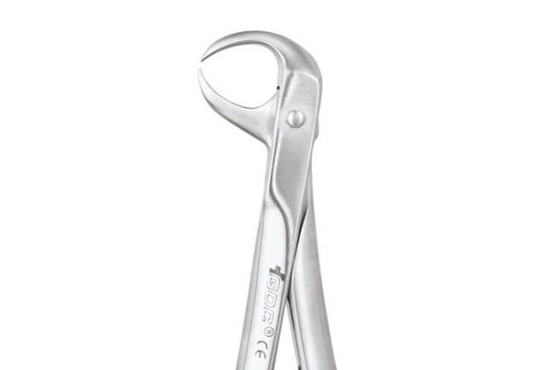 GDC Extraction Forceps Lower Molars - 86 Standard (FX86S) - Dentalstall India