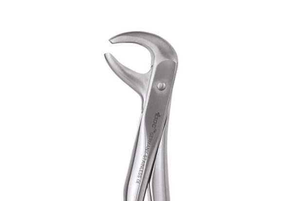 GDC Extraction Forceps Lower Premolars - 75 Standard (Fx75s) - Dentalstall India