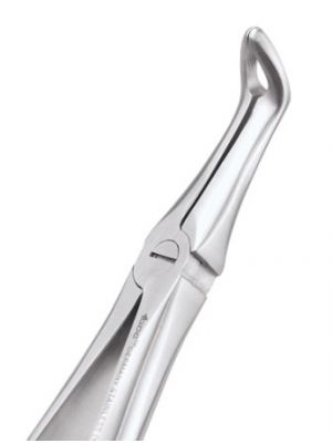 GDC Extraction Forceps Lower Roots - 45 Standard (Fx45s) - Dentalstall India