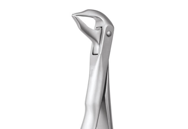 GDC Extraction Forceps Lower Roots - 959.01 Secure (SFX959.01) - Dentalstall India