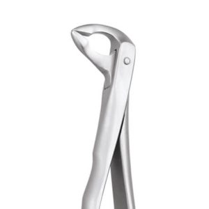 GDC Extraction Forceps Lower Roots - 974.00 Secure (Sfx974.00) - Dentalstall India