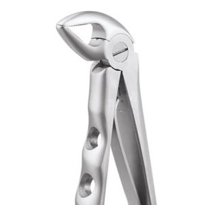 GDC Extraction Forceps Lower Roots Pedo Premium (Fx3cp) - Dentalstall India