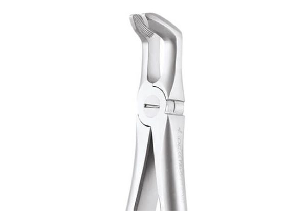 GDC Extraction Forceps Lower Third Molars - 79 Atraumatic (AFX79) - Dentalstall India
