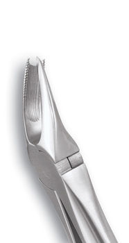 GDC Extraction Forceps Upper Molars Right Standard - (FX89S) - Dentalstall India
