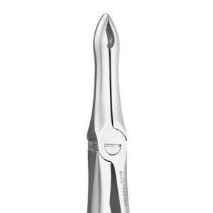 GDC Extraction Forceps Upper Roots - 41 Standard (FX41S) - Dentalstall India