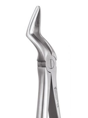 GDC Extraction Forceps Upper Roots - 51 Standard (FX51S) - Dentalstall India