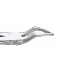 GDC Extraction Forceps Upper Roots - 51A Standard (FX51AS) - Dentalstall India