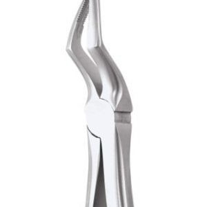 GDC Extraction Forceps Upper Roots - 51a Ergonomic (Fx51ae) - Dentalstall India