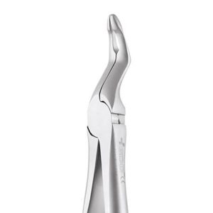 GDC Extraction Forceps Upper Roots - 951.00 Secure (Sfx951.00) - Dentalstall India
