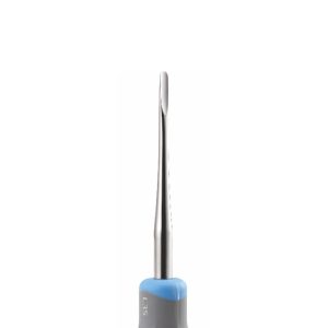 GDC Luxatip - 3mm Straight (L3s) - Dentalstall India