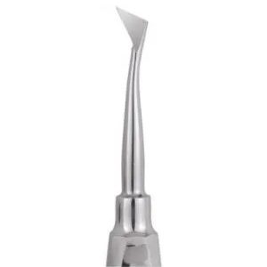 GDC Root Elevators Cryer - Right Standard (Ea31) - Dentalstall India