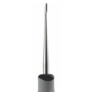 GDC Luxatip - 2mm Straight (L2s) - Dentalstall India
