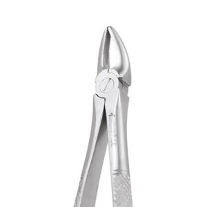 GDC Extraction Forceps Upper Roots - 30 Standard (FX30S) - Dentalstall India