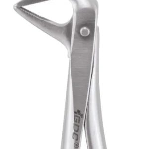 GDC Extraction Forceps Secure - Dentalstall India
