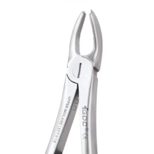 GDC Extraction Forceps Upper Molar Left Premium (FX18P) - Dentalstall India