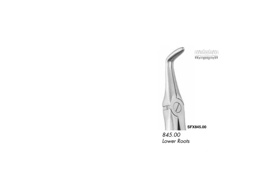 Buy Gdc Extraction Forceps Secure At Best Price 2024 Dentalstall