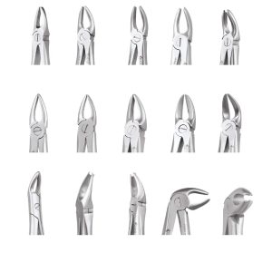 GDC Extraction Forceps Standard - Dentalstall India