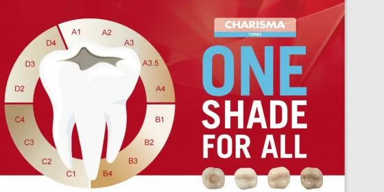 Kulzer Charisma Topaz One Shade Resin Based Restorative Composite Kit - Dentalstall India Kulzer Charisma Topaz One Shade Resin Based Restorative Composite Kit - Dentalstall India