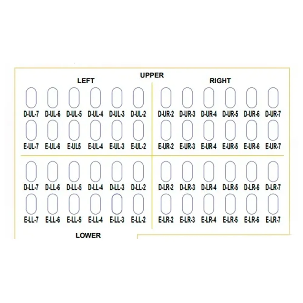 Oro SS Little Crown Primary Molar Kits - Dentalstall India Oro SS Little Crown Primary Molar Kits - Dentalstall India